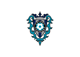 Avispa Fukuoka FC